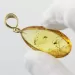 Drop Baltic amber pendulum pendant w insect inclusion