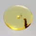 Large Donut shape Baltic amber pendant medallion