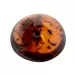 Large Donut shape Baltic amber pendant medallion