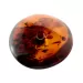 Large Donut shape Baltic amber pendant medallion