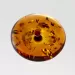 Large Donut shape Baltic amber pendant medallion