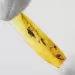 Beetle Insect inclusions in Baltic amber fossil stone