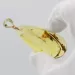 Insect inclusions in Baltic amber fossil big stone