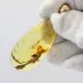 Insect inclusions in Baltic amber fossil big stone