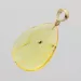 Insect inclusions in Baltic amber fossil big stone