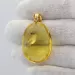 Insect inclusion in Baltic amber fossil big stone