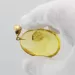 Insect inclusion in Baltic amber fossil big stone