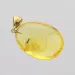 Insect inclusion in Baltic amber fossil big stone