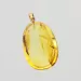 Gnat Insect inclusion in Baltic amber fossil big stone