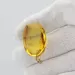 Gnat Insect inclusion in Baltic amber fossil big stone