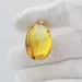 Gnat Insect inclusion in Baltic amber fossil big stone