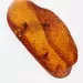 3 Flies inclusions in Baltic amber fossil stone