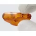 3 Flies inclusions in Baltic amber fossil stone