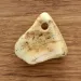 Baltic Amber Medallion pendant with hole