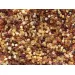 Raw Rough Baltic Amber Natural Gemstone Bits