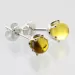 Fossil Studs Baltic amber Silver Earrings