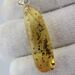 Baltic amber pendulum pendant w insect inclusion