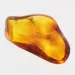Gnat Insect in Baltic Amber Fossil Specimen