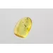 Fly Insect in Baltic Amber Fossil Specimen