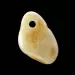 Baltic Amber Medallion pendant with hole