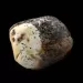 Polished Rough Genuine Baltic amber Fossil Stone