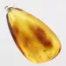 Baltic amber silver pendant w insect inclusion