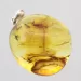 Baltic amber silver pendant w insect inclusion