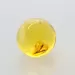 Gnat Insect in Baltic Amber Ball Fossil Specimen
