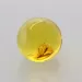 Gnat Insect in Baltic Amber Ball Fossil Specimen
