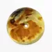 Donut shape Baltic amber pendant medallion