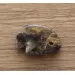 Baltic Amber figurine FISH Pendant Charm