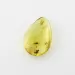 Fossil Insect Baltic Amber Pendant