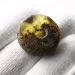 Raw Donut shape Baltic amber pendant medallion