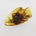 Baltic Amber figurine FISH Pendant Charm