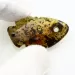 Baltic Amber figurine FISH Pendant Charm