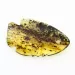 Baltic Amber figurine FISH Pendant Charm