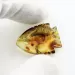 Baltic Amber figurine FISH Pendant Charm
