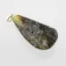 Unique Color DROP Baltic Amber Pendant