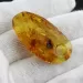 Natural Baltic Amber Hole Pendant