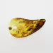 Natural Baltic Amber Hole Pendant