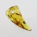 Natural Baltic Amber Hole Pendant