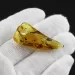 Natural Baltic Amber Hole Pendant