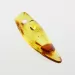Natural Baltic Amber Hole Pendant