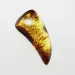 Natural Baltic Amber Hole Pendant