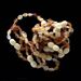 10 Raw Mix BEANS Baltic amber teething bracelets 12cm