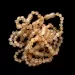 10 Raw Honey BAROQUE Baltic amber teething bracelets 12cm