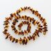 Multi Thorns Baltic amber Nuggets Necklace 62cm