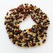 10 Multi BROQUE teething Baltic amber necklaces 32cm