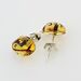 Carved Themed Baltic amber Silver Earrings
