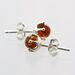 Cognac Round Studs Baltic amber Silver Earrings